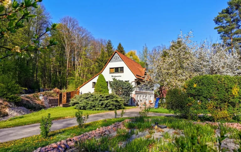 Ein Blick auf die Waldpension